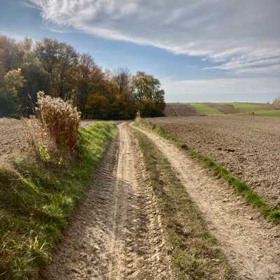 wyścig gravelowy droga